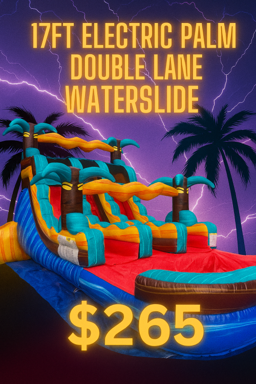 17ft Electric Palm Double Lane Waterslide