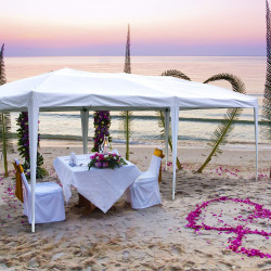 10x20 Canopy Tent